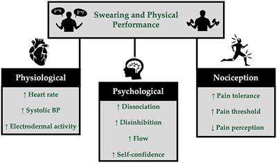 Effect of swearing on physical performance: a mini-review